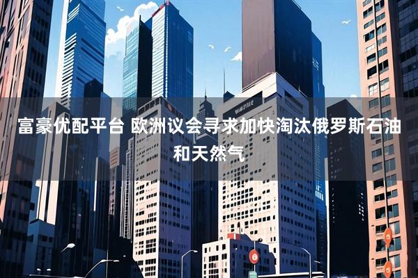 富豪优配平台 欧洲议会寻求加快淘汰俄罗斯石油和天然气