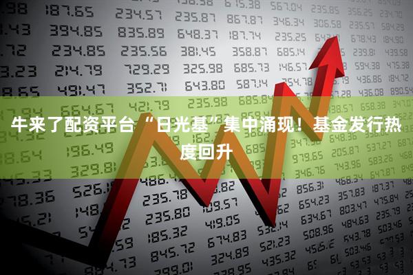 牛来了配资平台 “日光基”集中涌现！基金发行热度回升