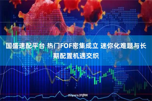 国盛速配平台 热门FOF密集成立 迷你化难题与长期配置机遇交织