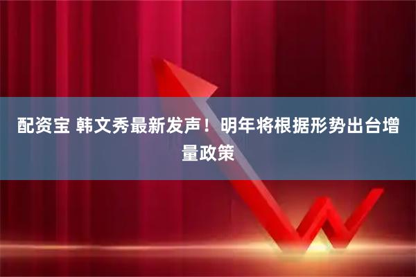 配资宝 韩文秀最新发声！明年将根据形势出台增量政策